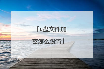 u盘文件加密怎么设置