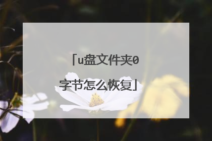 u盘文件夹0字节怎么恢复