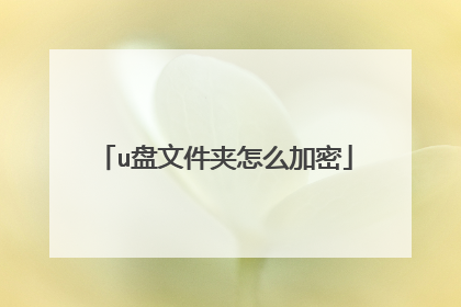 u盘文件夹怎么加密