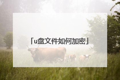 u盘文件如何加密