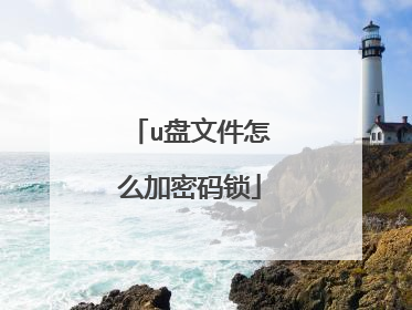 u盘文件怎么加密码锁