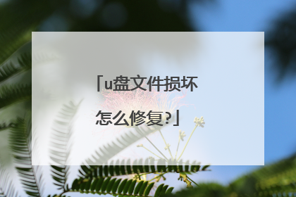 u盘文件损坏怎么修复?