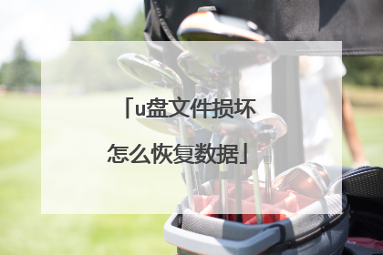 u盘文件损坏怎么恢复数据