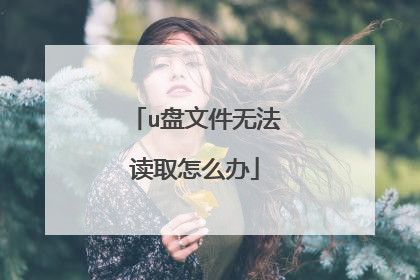 u盘文件无法读取怎么办