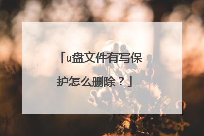 u盘文件有写保护怎么删除？