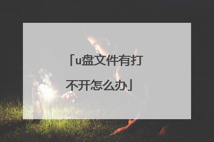 u盘文件有打不开怎么办