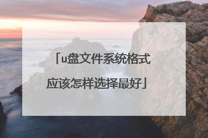u盘文件系统格式应该怎样选择最好