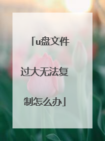u盘文件过大无法复制怎么办