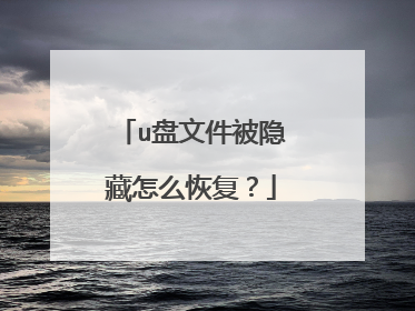 u盘文件被隐藏怎么恢复？