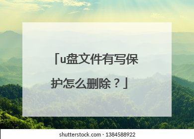 u盘文件有写保护怎么删除?