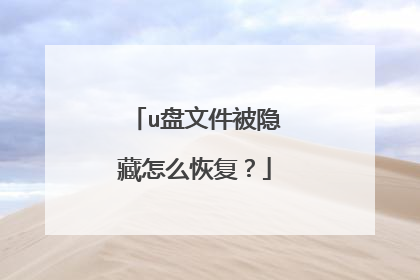 u盘文件被隐藏怎么恢复?