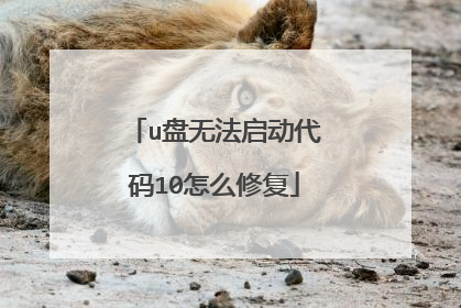 u盘无法启动代码10怎么修复