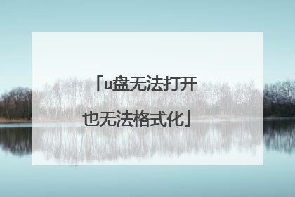 u盘无法打开也无法格式化