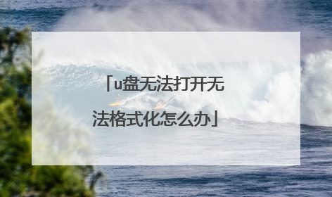 u盘无法打开无法格式化怎么办