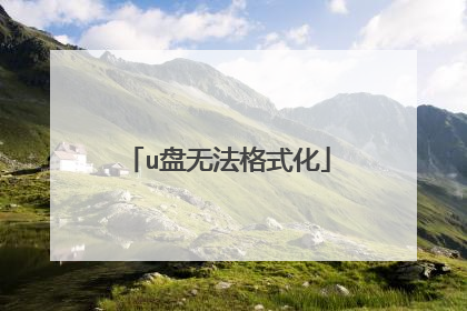 u盘无法格式化