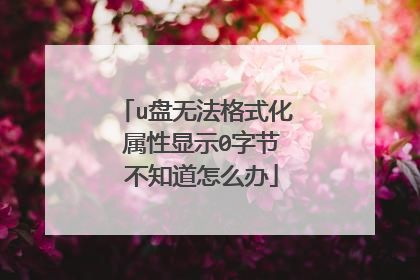 u盘无法格式化 属性显示0字节 不知道怎么办