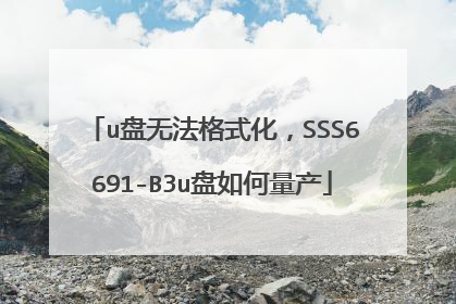 u盘无法格式化,SSS6691-B3u盘如何量产