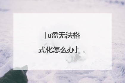 u盘无法格式化怎么办