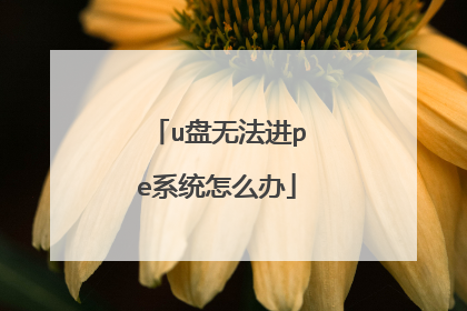 u盘无法进pe系统怎么办
