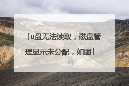 u盘无法读取,磁盘管理显示未分配,如图