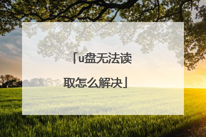 u盘无法读取怎么解决