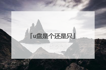 u盘是个还是只