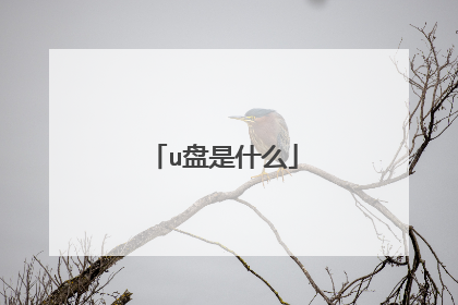 u盘是什么