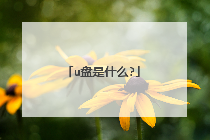 u盘是什么?