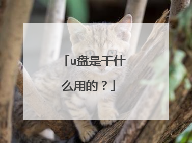 u盘是干什么用的?