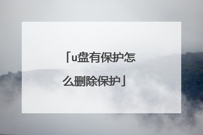 u盘有保护怎么删除保护