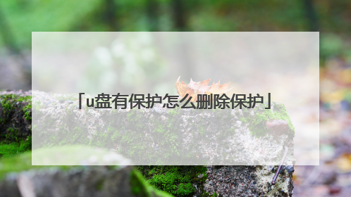 u盘有保护怎么删除保护