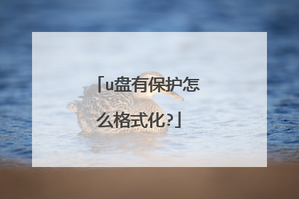 u盘有保护怎么格式化?