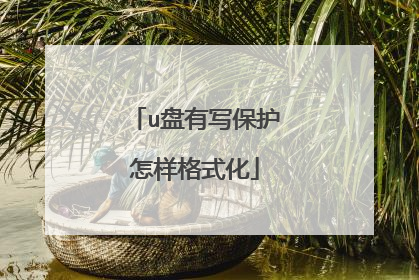 u盘有写保护怎样格式化