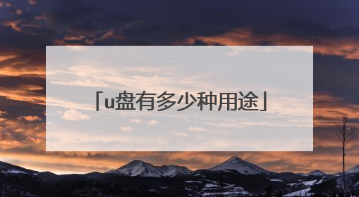 u盘有多少种用途