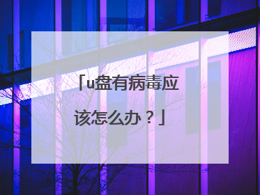 u盘有病毒应该怎么办？