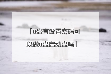 u盘有设置密码可以做u盘启动盘吗