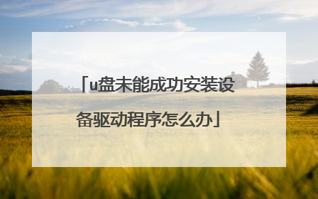 u盘未能成功安装设备驱动程序怎么办