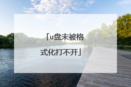 u盘未被格式化打不开