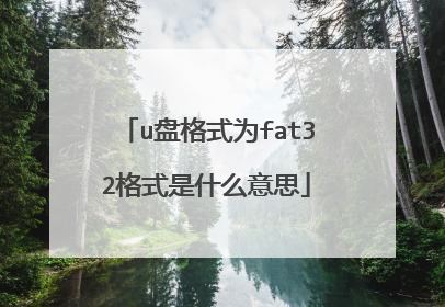 u盘格式为fat32格式是什么意思