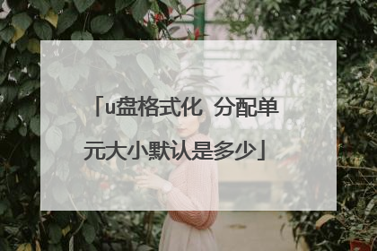 u盘格式化 分配单元大小默认是多少