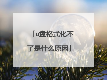 u盘格式化不了是什么原因