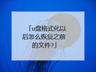 u盘格式化以后怎么恢复之前的文件?