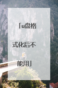 u盘格式化后不能用