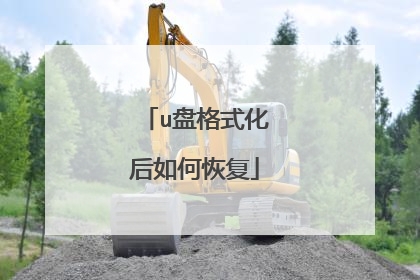 u盘格式化后如何恢复