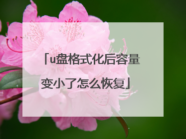 u盘格式化后容量变小了怎么恢复