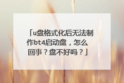 u盘格式化后无法制作bt4启动盘,怎么回事?盘不好吗?