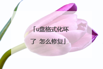 u盘格式化坏了 怎么修复