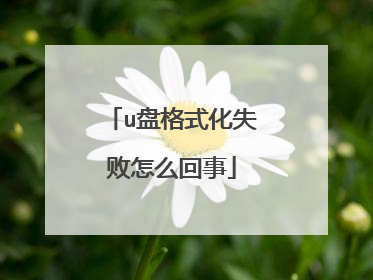 u盘格式化失败怎么回事