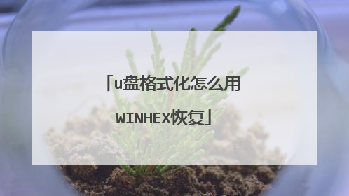 u盘格式化怎么用WINHEX恢复