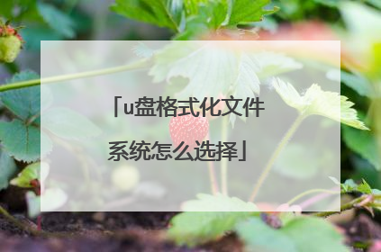 u盘格式化文件系统怎么选择
